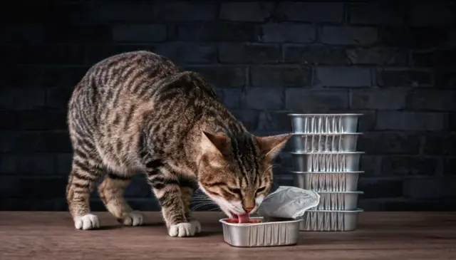 Profitable Niche Markets for Aluminum Foil Packaging Products Beyond Food Trays