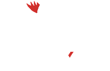 LIYANG New Chem logo