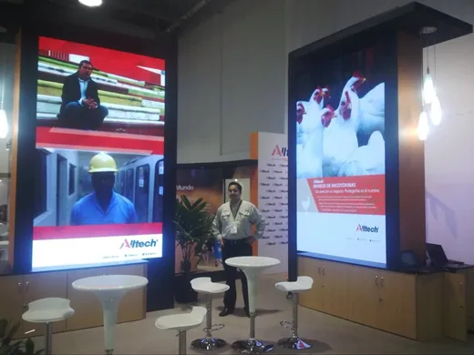 19.66sqm Indoor Fixed LED Screen in Ecuador