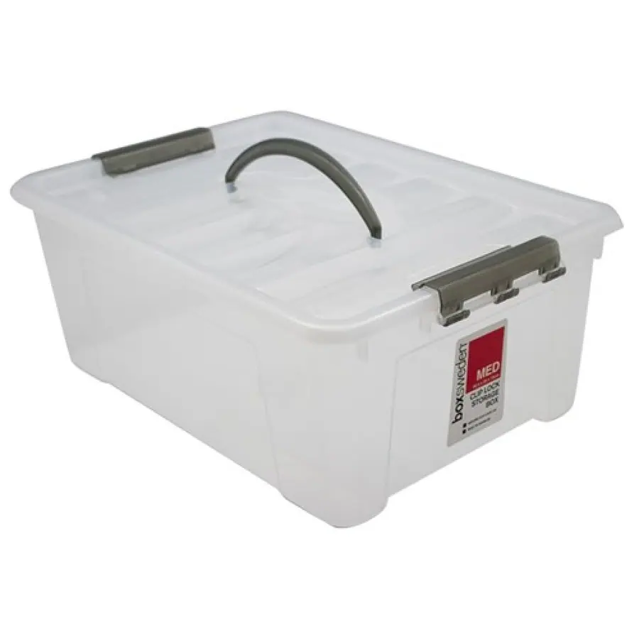 Carry Box With Handle