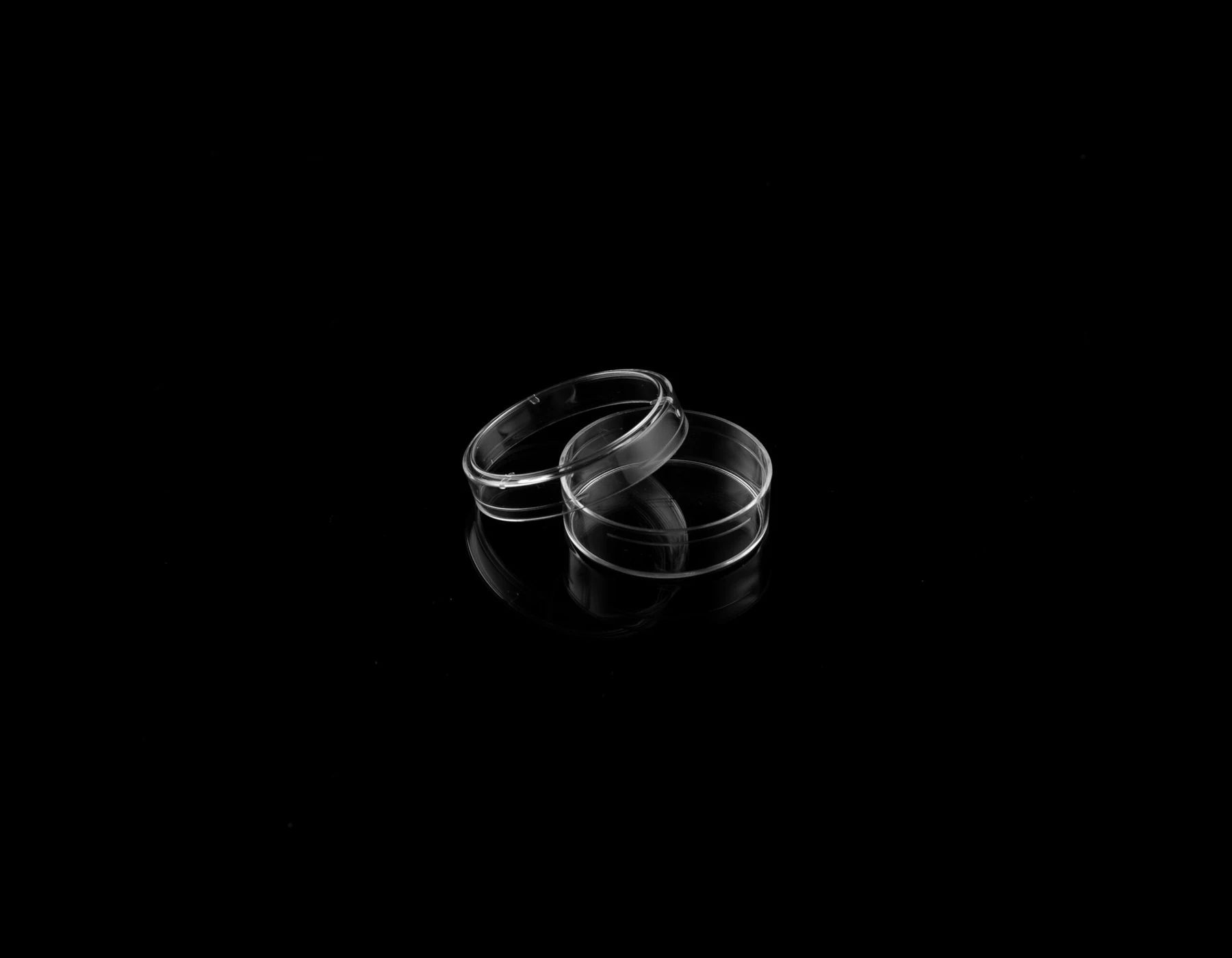 Cell Culture Dish product photo 6