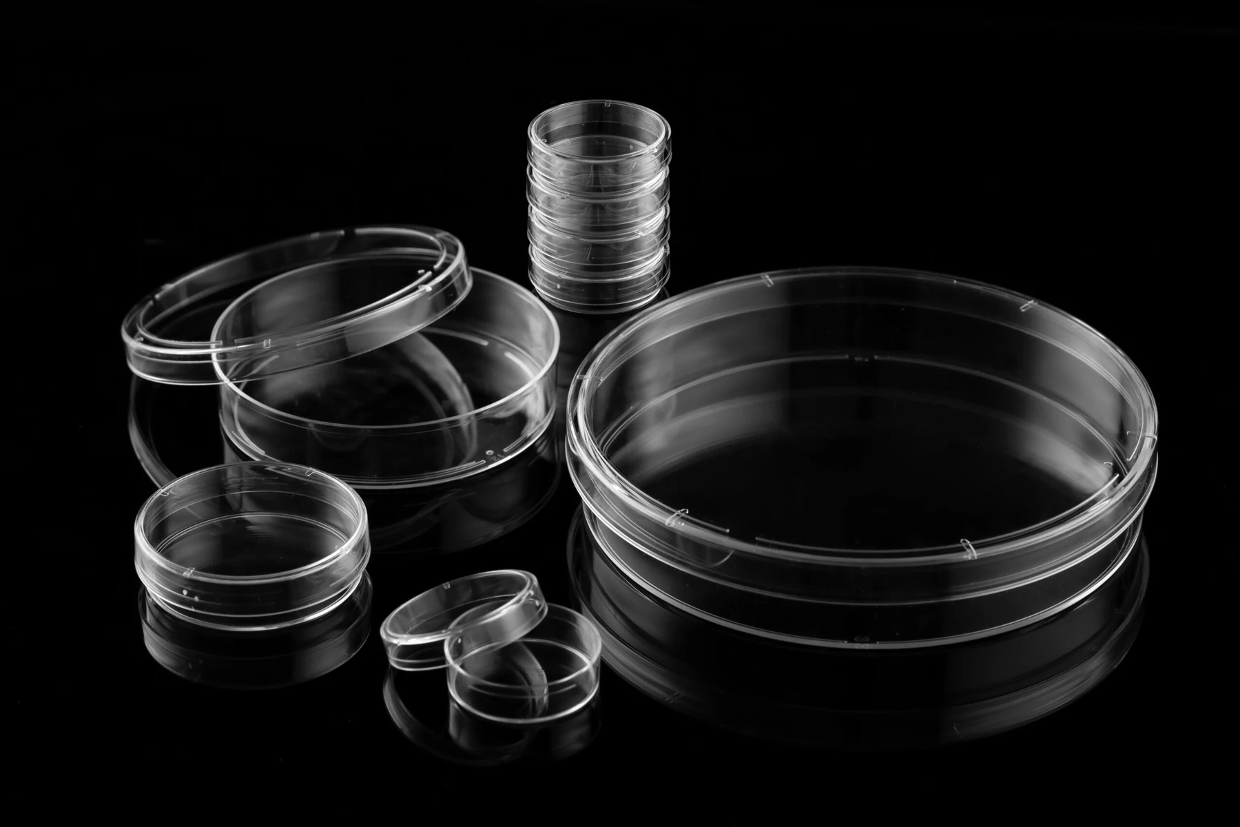 Cell Culture Dish for laboratory use