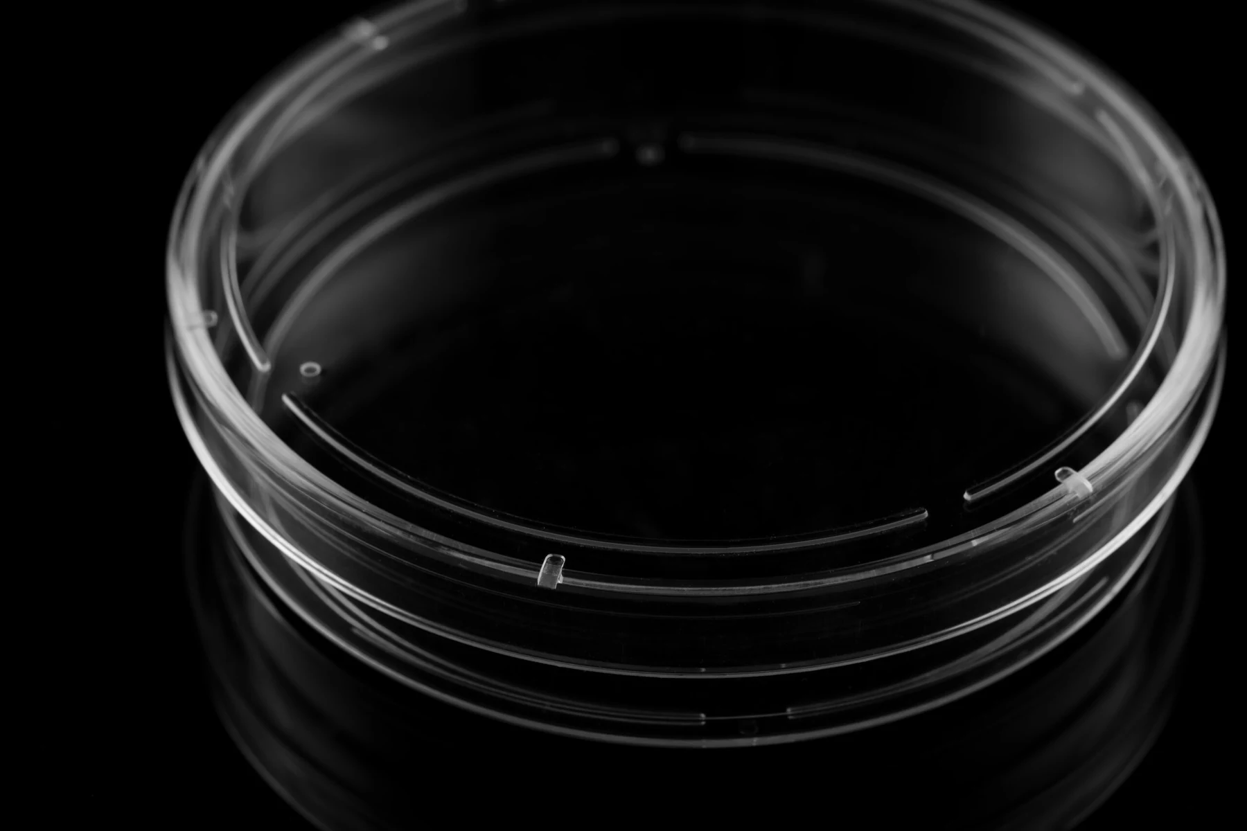 Cell Culture Dish product photo 4