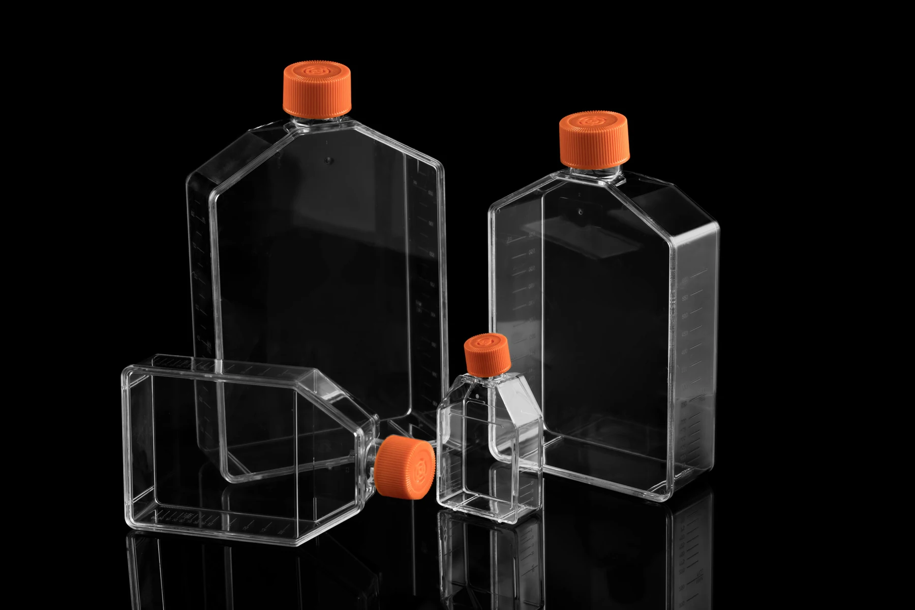 Cell Culture Flask for laboratory use