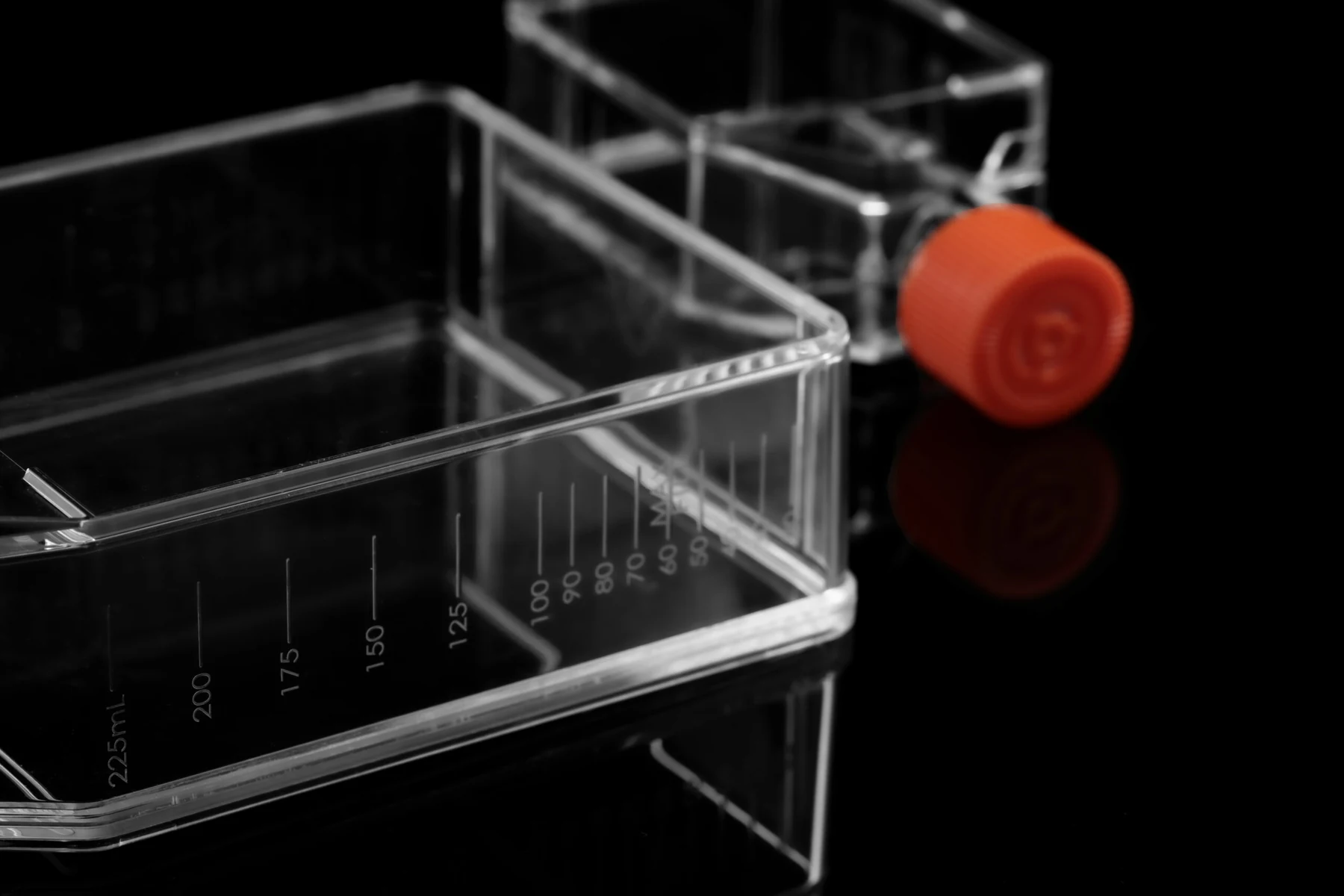 Cell Culture Flask product photo 3