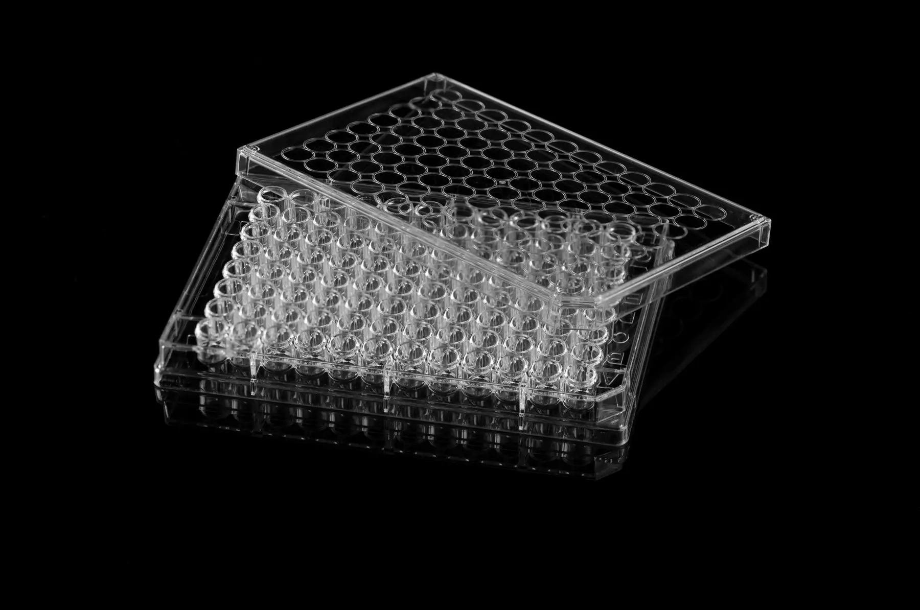 Culture-plate product photo 4