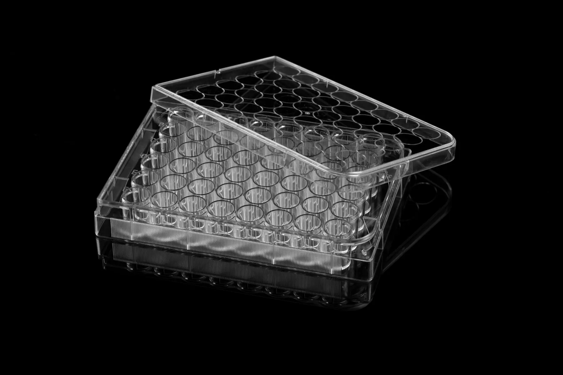 Culture-plate product photo 6