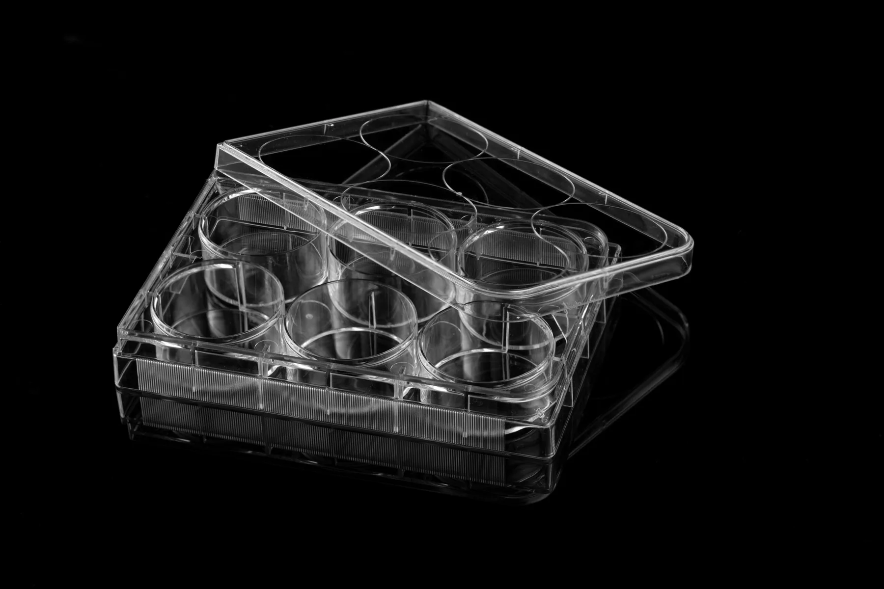 Culture-plate product photo 7