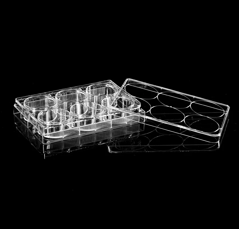 Culture-plate product photo 9