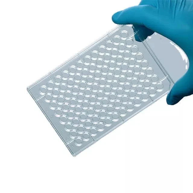 PCR Plate product photo 5