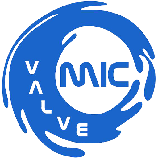 MIC Valve