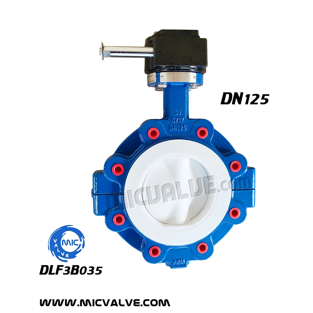 Anti-Corrosive Lug type Butterfly Valve DN125 — DLF3B035