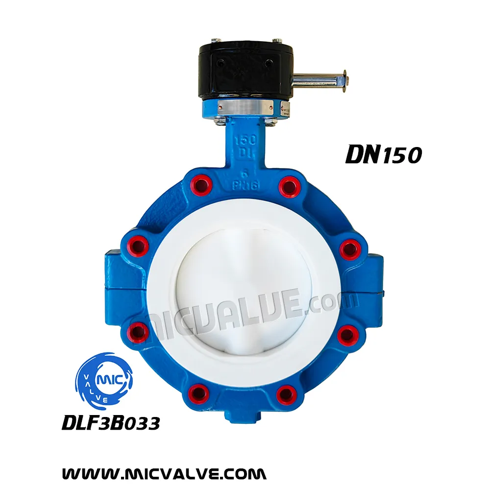 Anti-Corrosive Lug type Butterfly Valve DN150 — DLF3B036