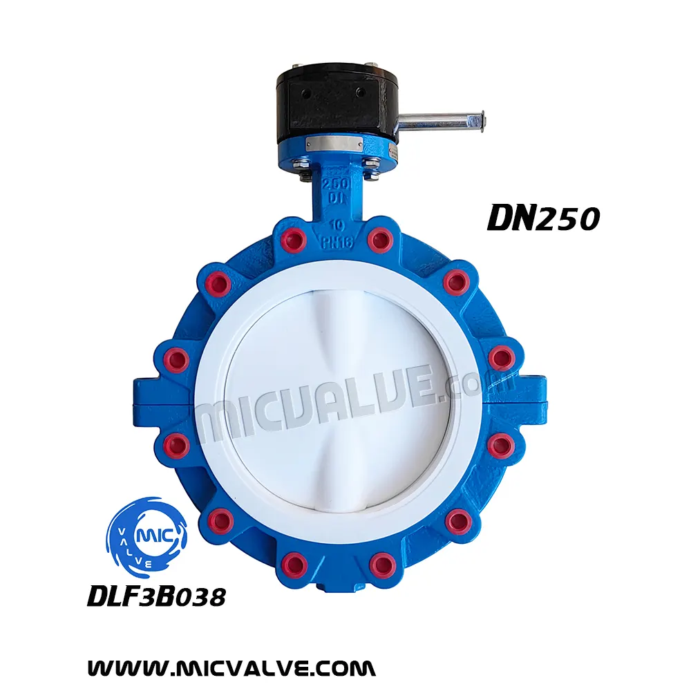 Anti-Corrosive Lug type Butterfly Valve DN250 — DLF3B038
