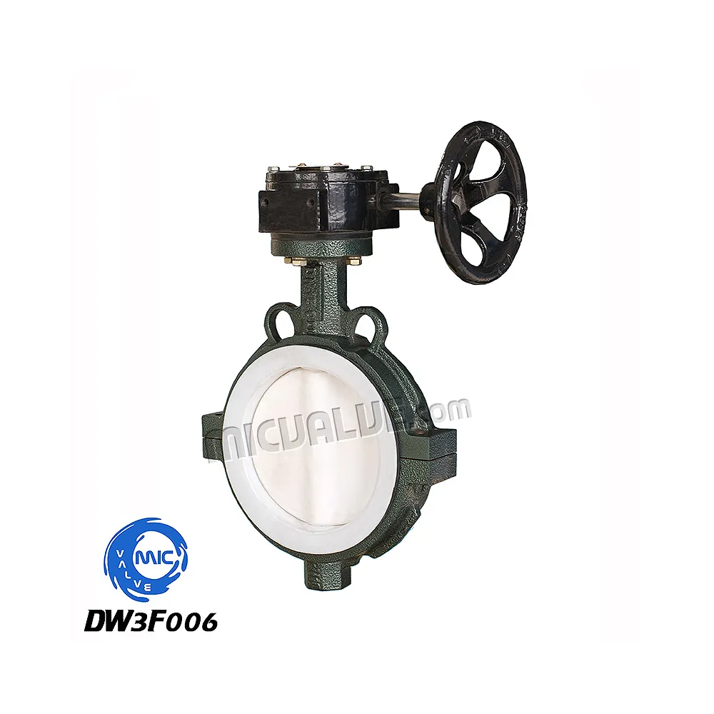 Wafer Butterfly Valve[PTEF Coated Disc & Wormgear] — DW3F006