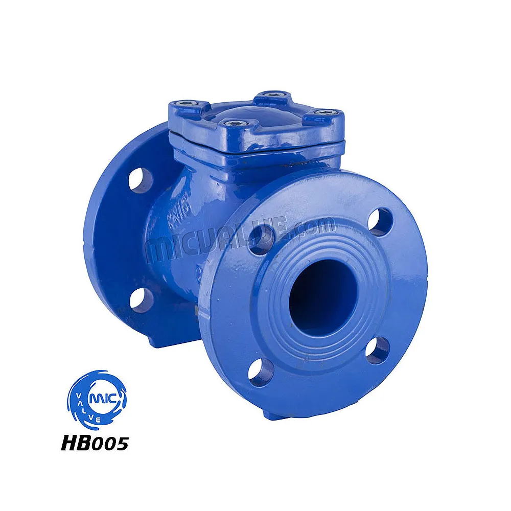 Flanged End Ball type Check Valve[Cast Iron] — HB005