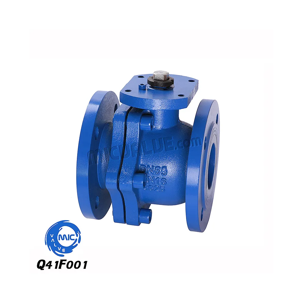 2pc-Ball Valve(Cast Iron) — Q41F001