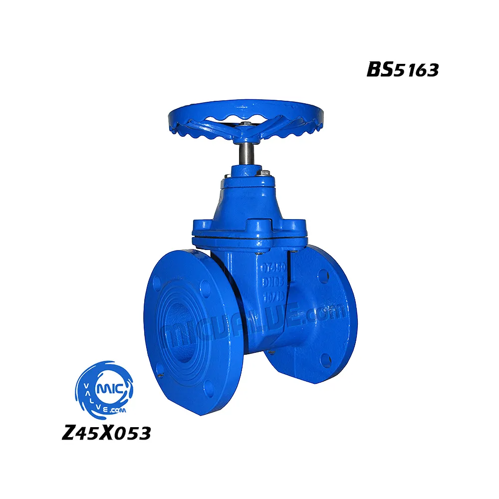 Non-rising Stem Resilient Seat Gate Valve[BS5163] — Z45X-053