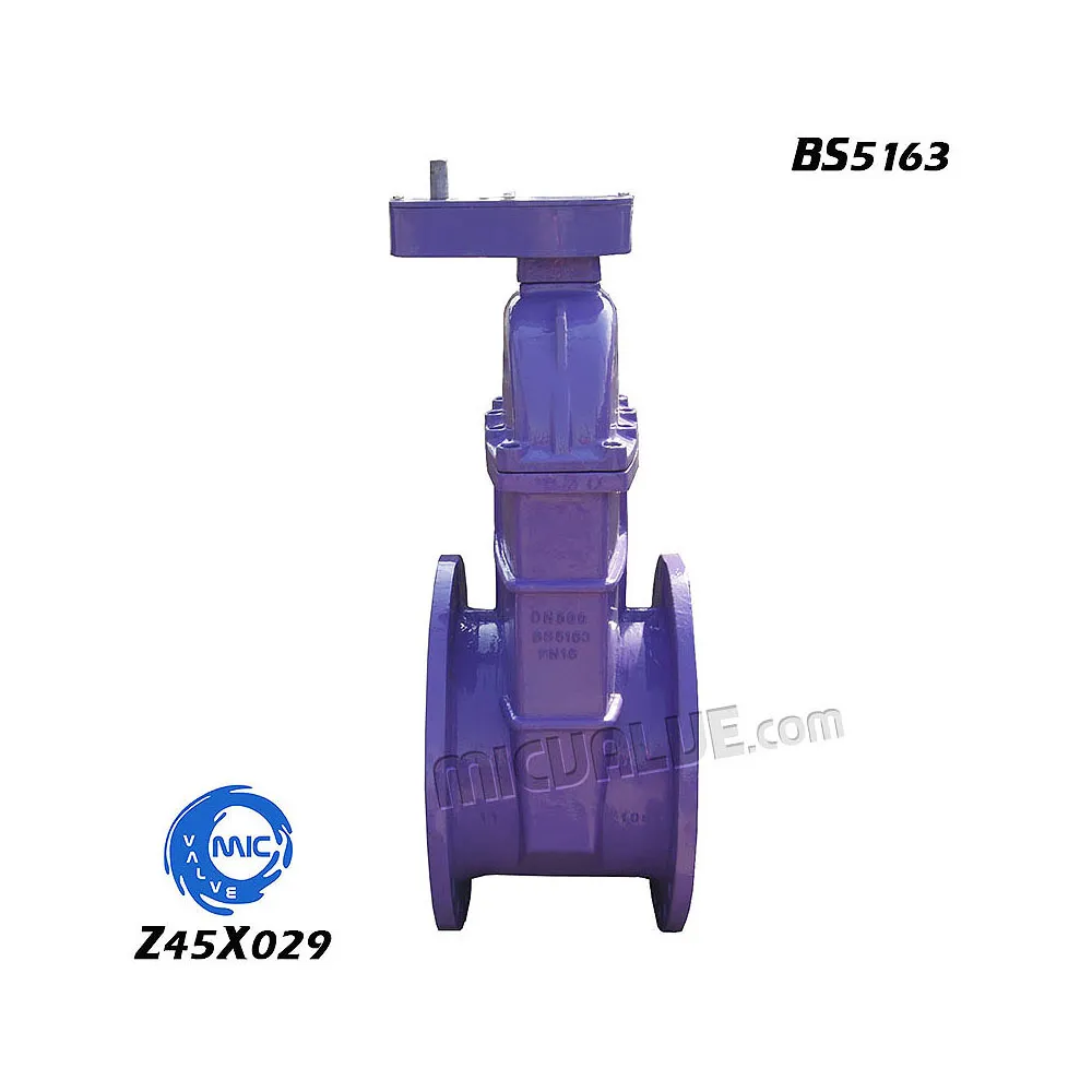 NRS Resilient Seat Gate Valve[BS5163] — Z45X029