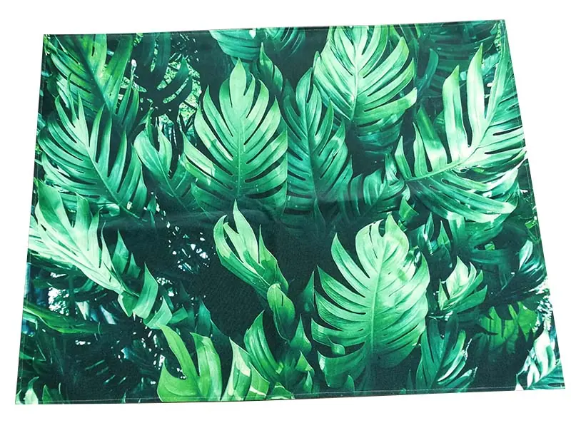 Swimming Pool Rug and Outdoor Rugs