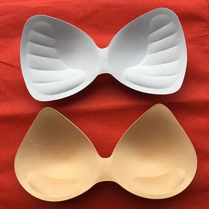 0240622 Bra cup photo 1