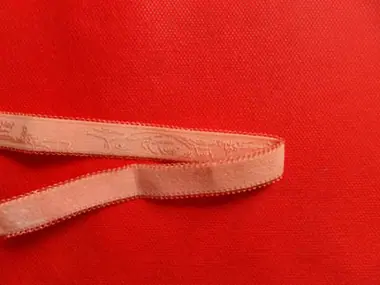 Bs13 - bra strap