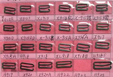 embryo 5 view 2