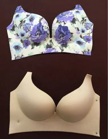 00C - Bra cup