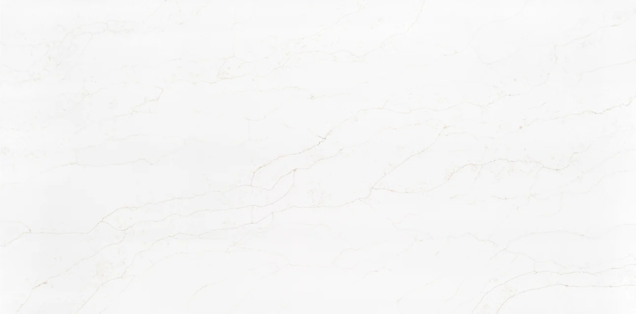 5302 ASRX 2025 Collection slab