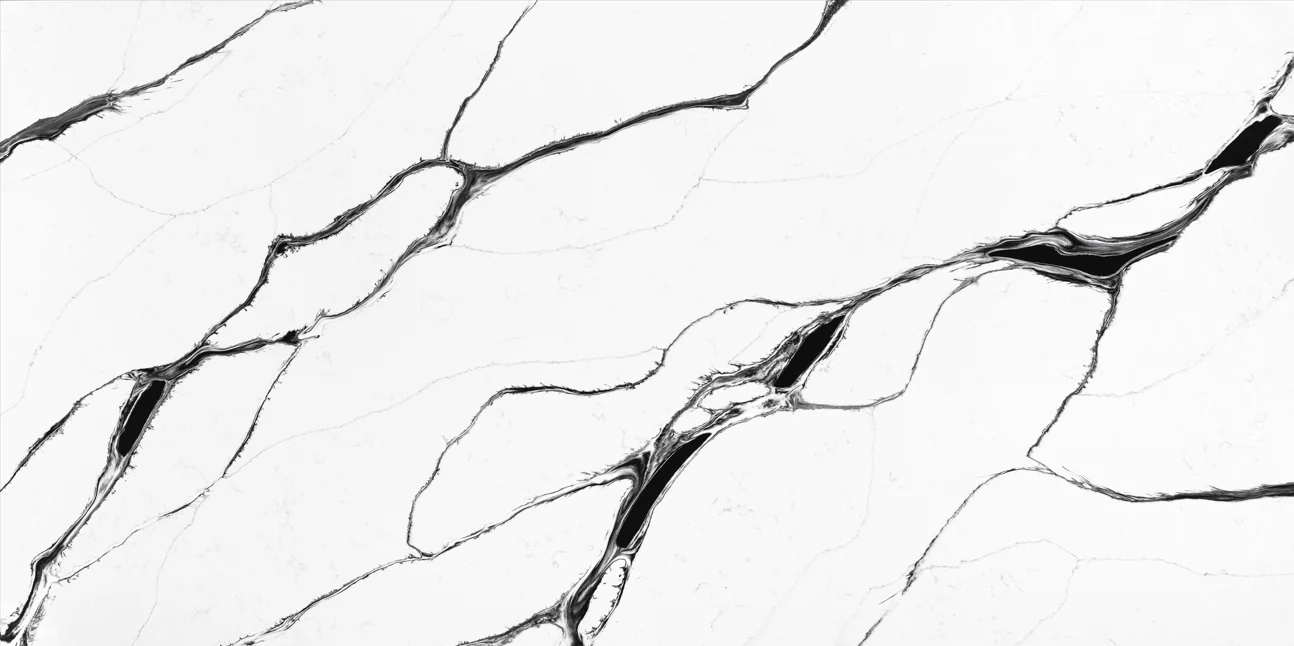 5901 ASRX 2025 Collection slab