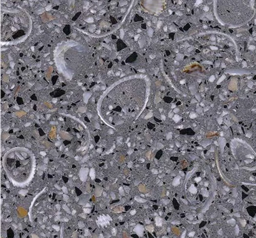 Oyster Cape Terrazzo Terrazzo slab