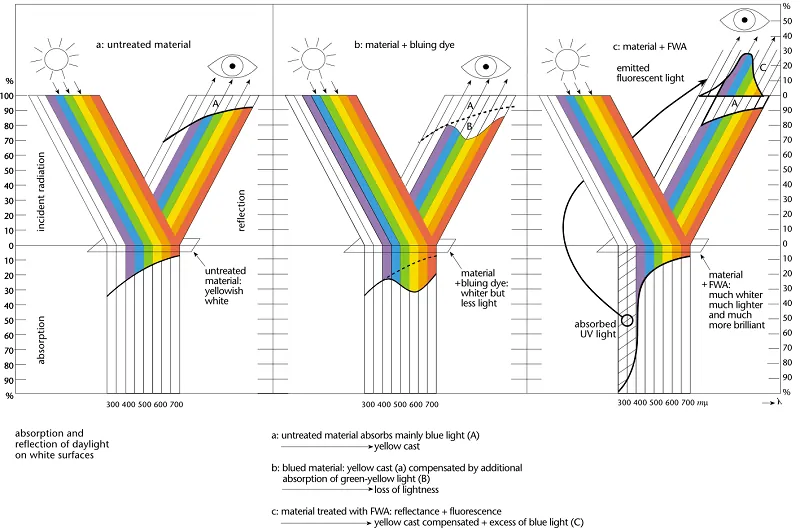 Polyester Fiber