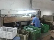 Trimming and sorting station. Shots are separated, deburred and binned by part number befo