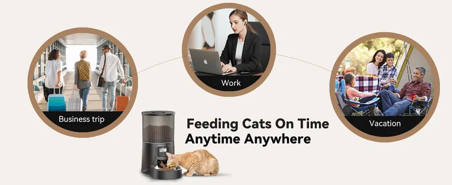 4L Smart Automatic Pet Feeder detail view 6