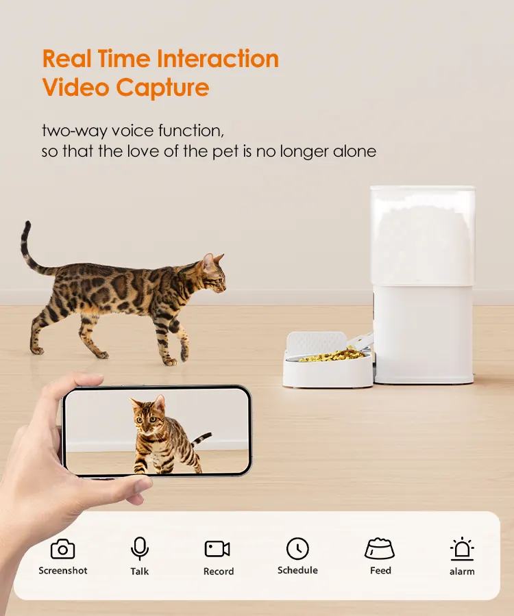 6L Automatic Cat Feeder With Dual-Bowl Design detail view 5