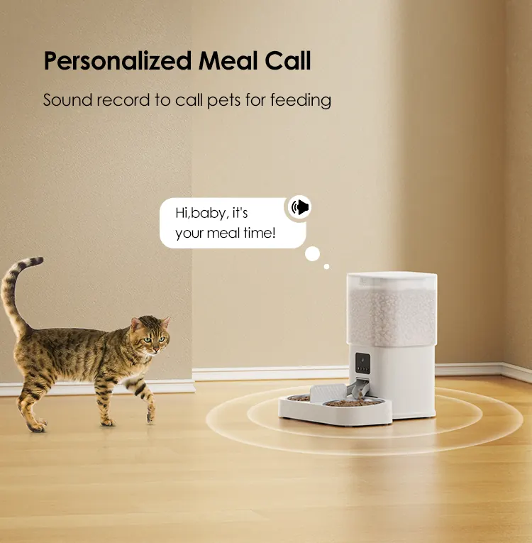6L Automatic Cat Feeder With Dual-Bowl Design detail view 6