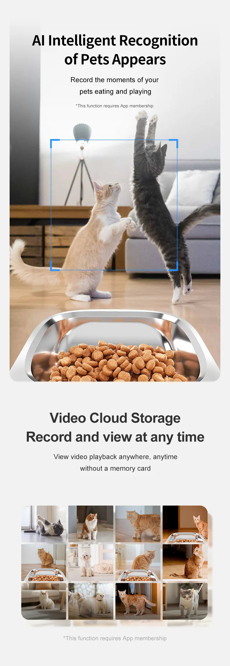 AI Dual-Camera Smart Pet Feeder With Motion Detection detail view 5