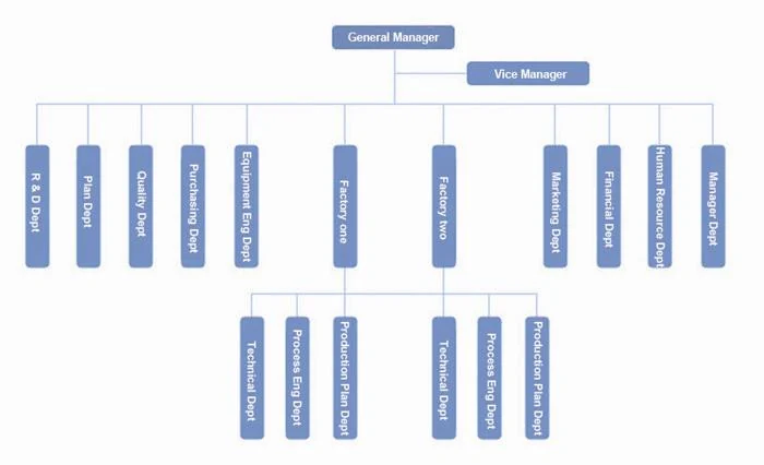 Organisation structure chart published by PEAK PCB LIMITED