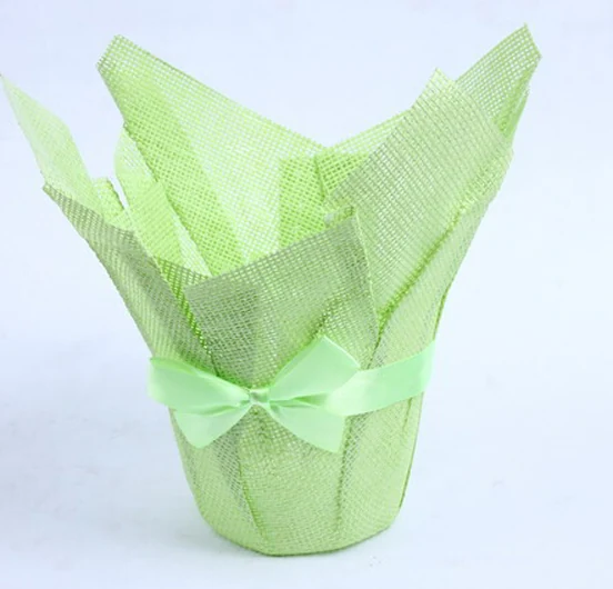 Light green mesh plant pot cover tied with matching ribbon bow on white background