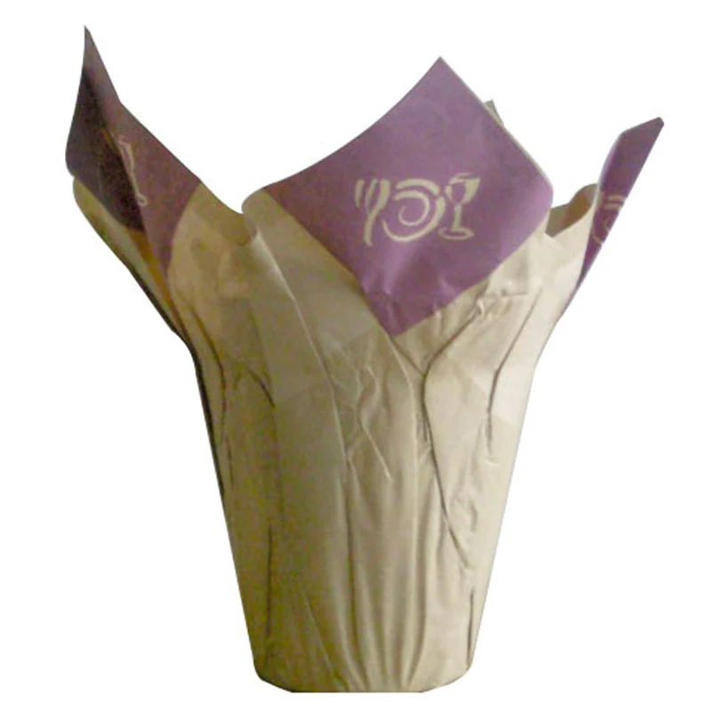 Beige paper plant pot cover with purple top isolated on white background