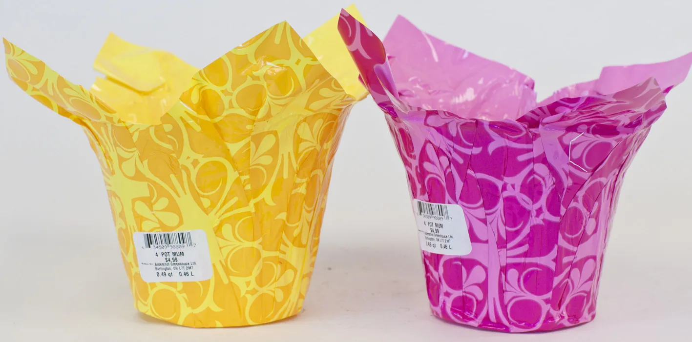 Two decorative foil plant pot covers, yellow and magenta patterned, with barcode labels