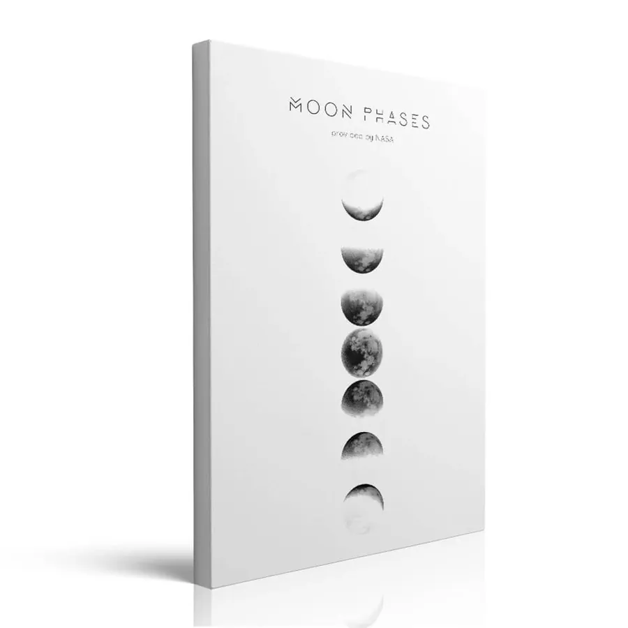 Moon Phase Photo printed on canvas by Pveror Art