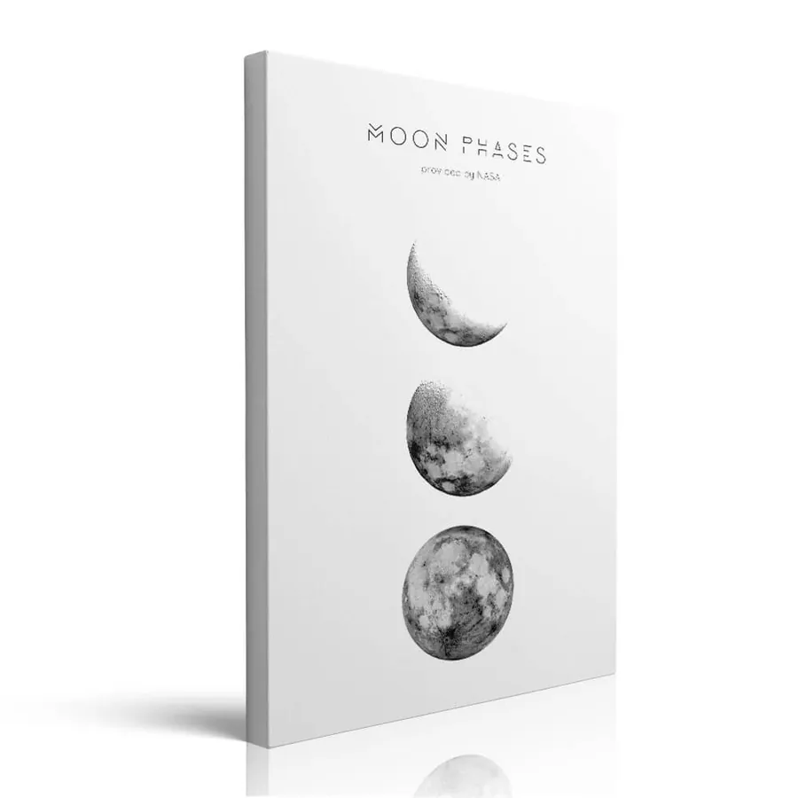 Moon Phases Picture printed on canvas by Pveror Art