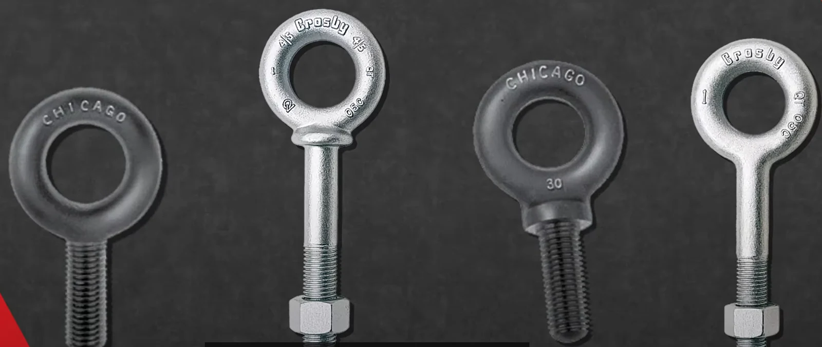 A row of four industrial eye bolts with threaded shafts and hex nuts, featuring both swivel and fixed eye designs