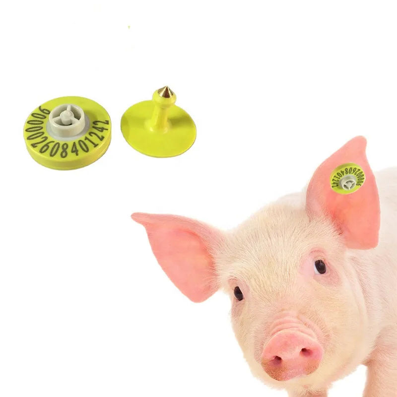 Dimensioned drawing of the matching ear tag button