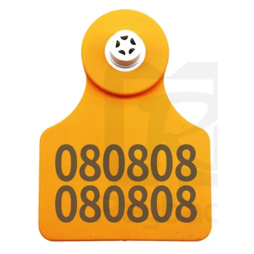 RBC-ET03-LF orange LF cattle ear tag female and male parts on white background