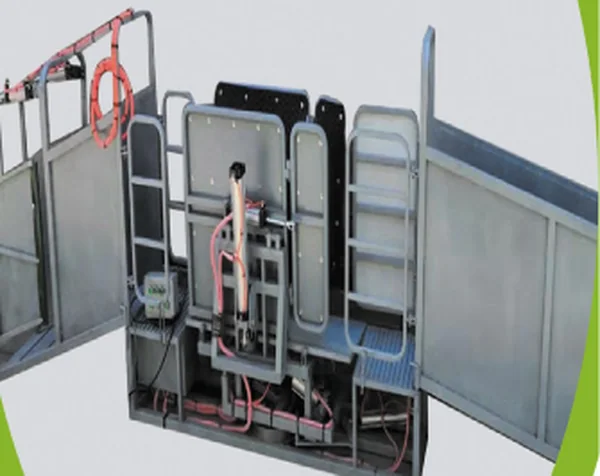 RBC-ZB-YZ01 automatic sheep restraint rack in use with a sheep secured in the neck frame