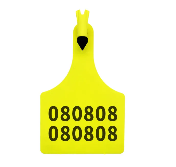 RBC-ETP14 yellow visual cattle ear tag on white background