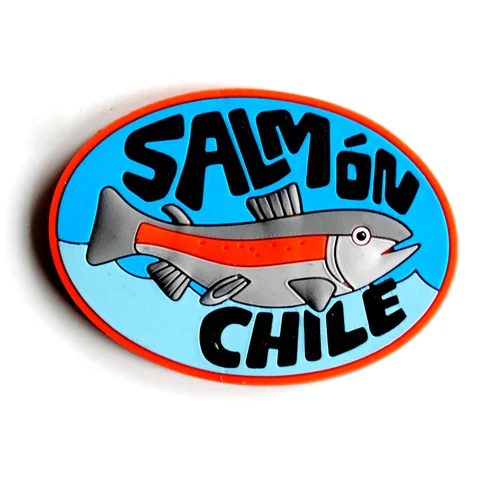 Chile Souvenir Fridge Magnets Customized RC-TS40