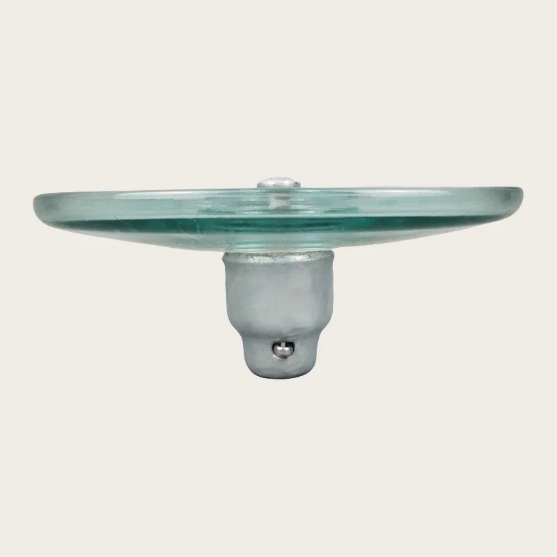 Aerodynamic glass insulator string assembled for test